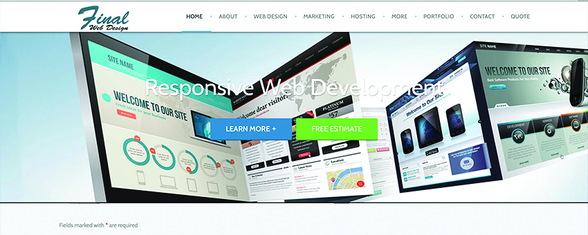 Professional Web Development