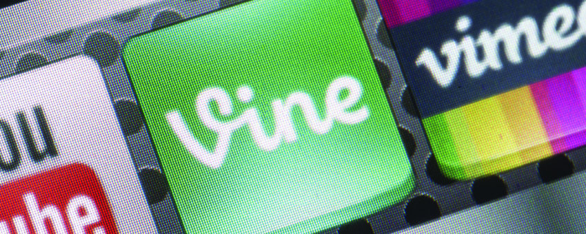 Vine