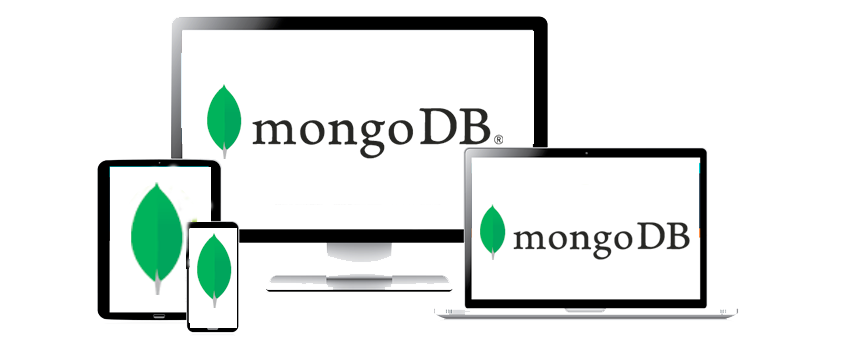 MongoDB Coding Services