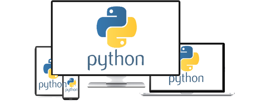 Python Coding Services